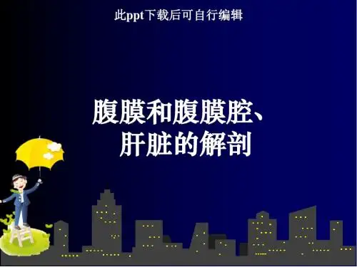 腹膜和腹膜腔肝脏的解剖ppt课件