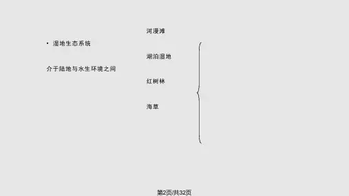水域生态系统
