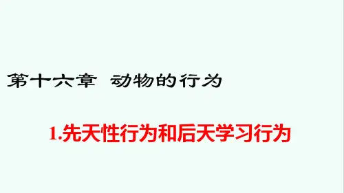 北师版八年级生物上册第16章《动物的行为》课件