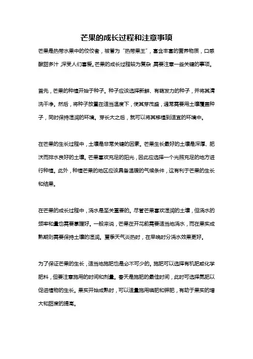 芒果的成长过程和注意事项