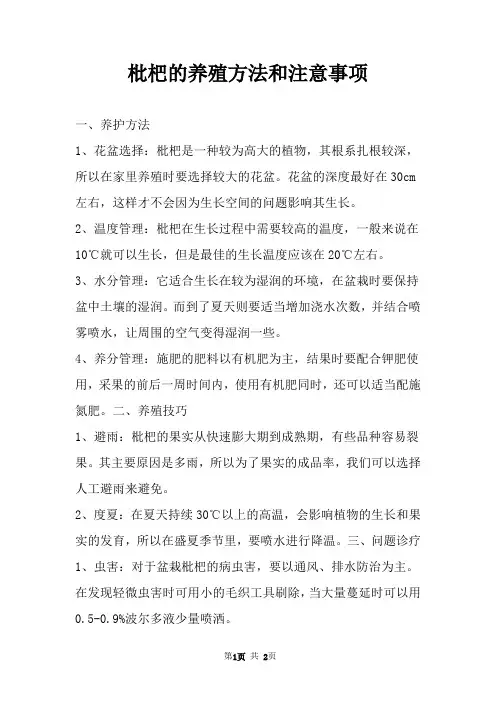 枇杷的养殖方法和注意事项 