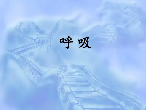 肺通气.PDFPPT课件