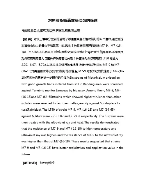 对斜纹夜蛾高效绿僵菌的筛选
