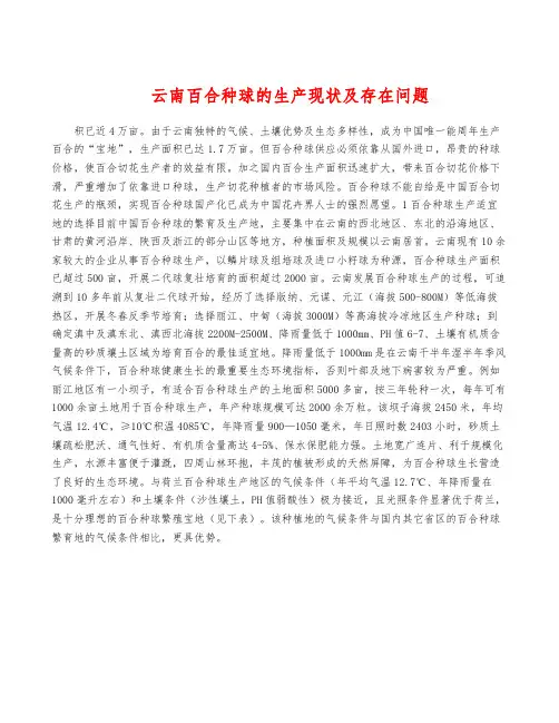 云南百合种球的生产现状及存在问题