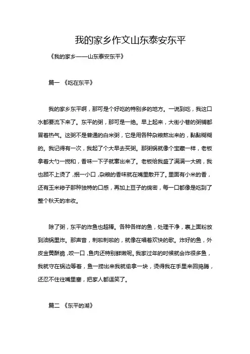 我的家乡作文山东泰安东平