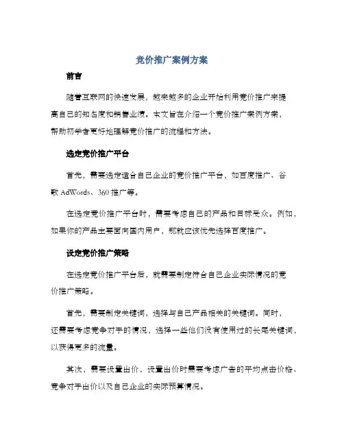 竞价推广案例方案