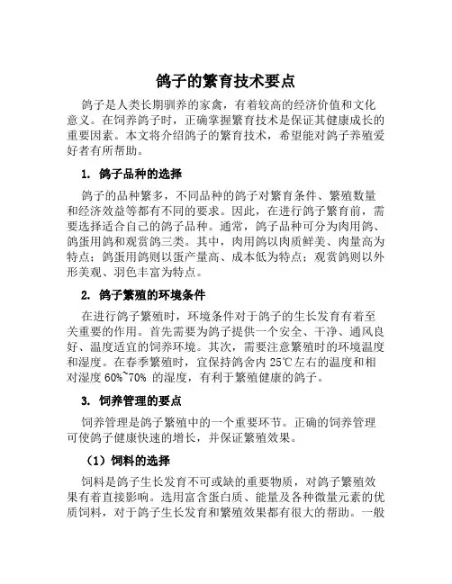 鸽子的繁育技术要点