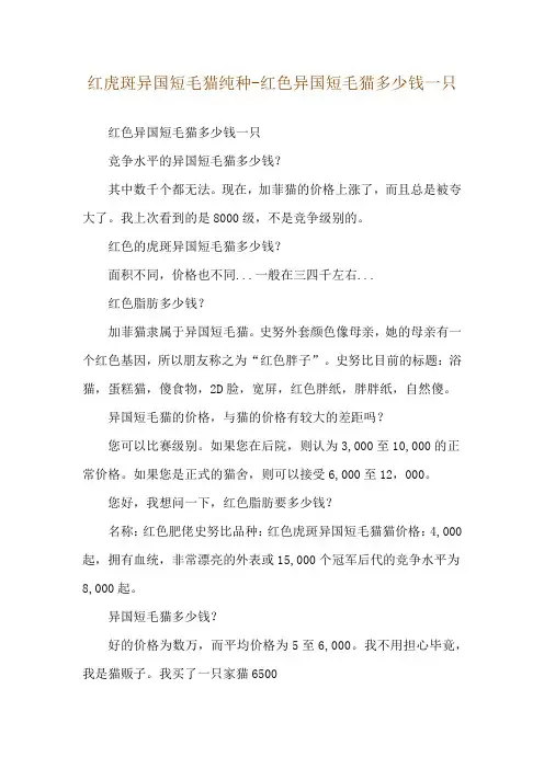 红虎斑异国短毛猫纯种-红色异国短毛猫多少钱一只