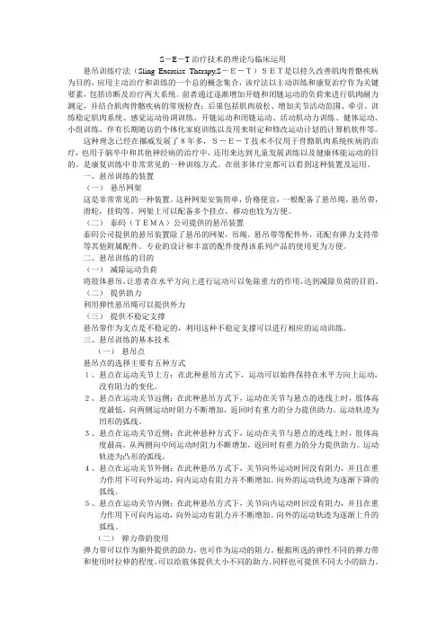 S-E-T治疗技术的理论与临床运用
