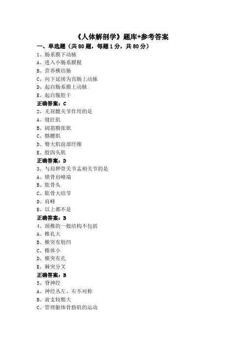 《人体解剖学》题库+参考答案