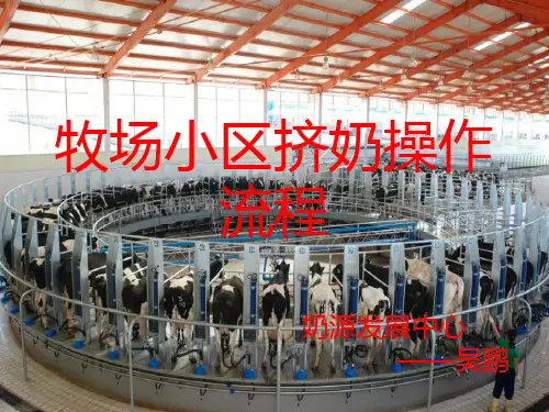 牧场小区挤奶操作程序培训资料