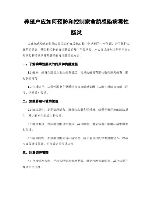 养殖户应如何预防和控制家禽鹅感染病毒性肠炎