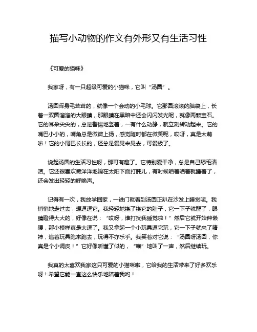 描写小动物的作文有外形又有生活习性