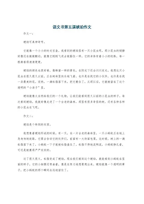 语文书第五课琥珀作文
