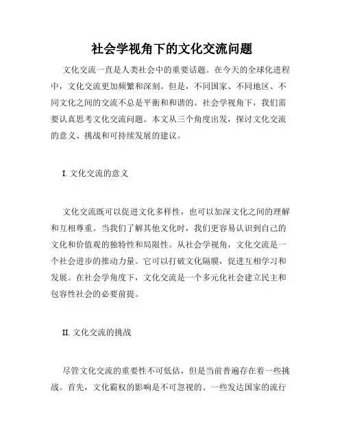 社会学视角下的文化交流问题
