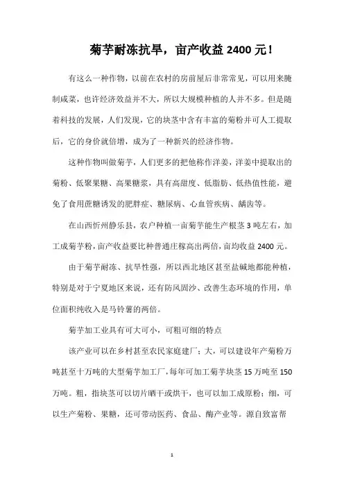 菊芋耐冻抗旱,亩产收益2400元!