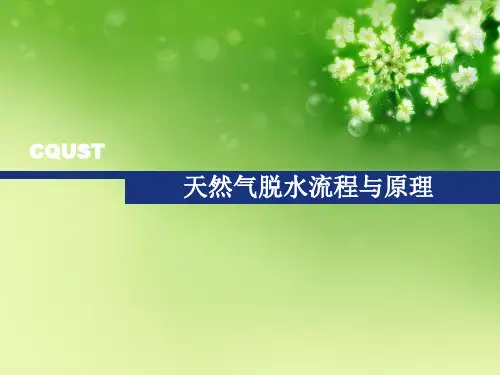 天然气脱水流程与原理优秀课件
