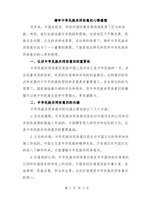 铸牢中华民族共同体意识心得感想