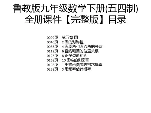 鲁教版九年级数学下册(五四制)全册课件【完整版】