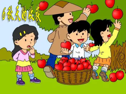 二年级上册品德与社会6 秋天的收获