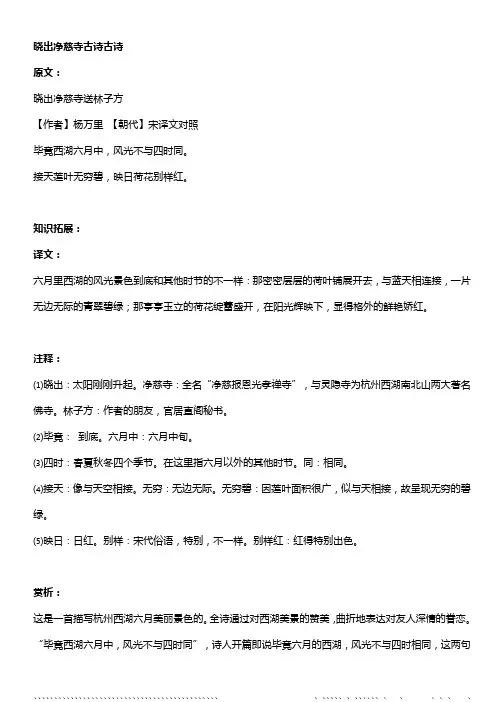 晓出净慈寺古诗古诗