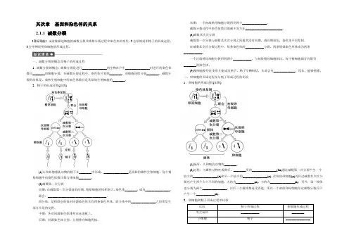 2021-2022高一生物人教版必修2课时作业：2.1.1 减数分裂 Word版含解析