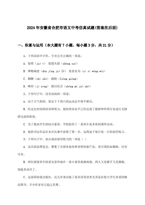 安徽省合肥市语文中考试题及答案指导(2024年)