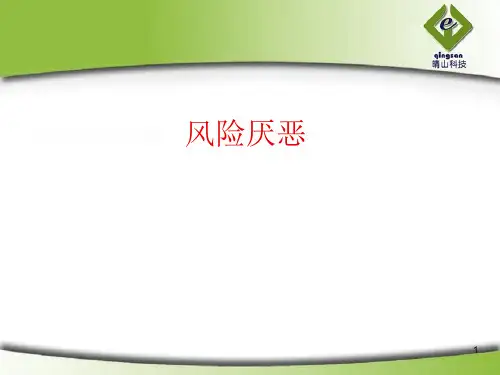 第三讲：风险厌恶ppt课件