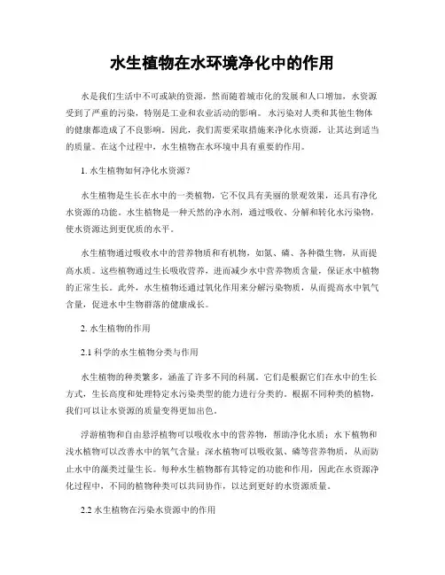 水生植物在水环境净化中的作用