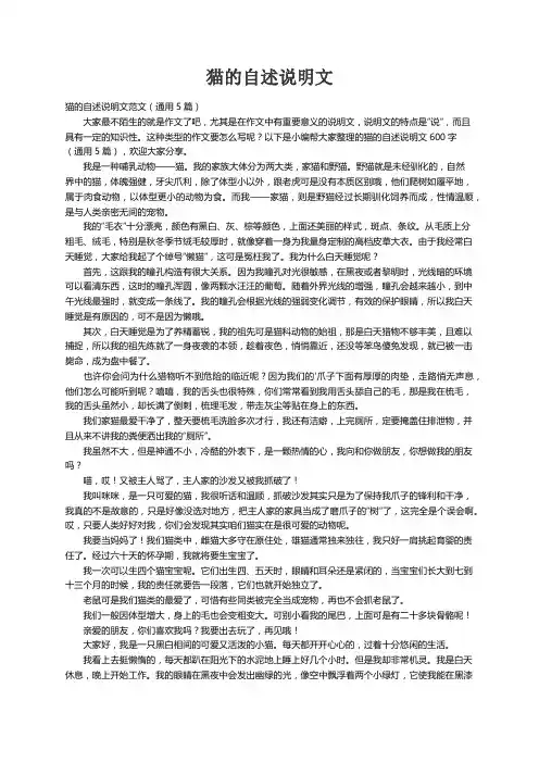 猫的自述说明文范文（通用5篇）