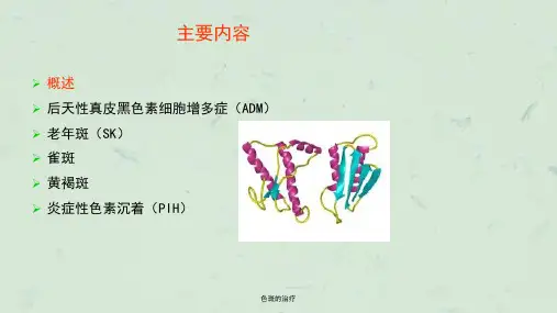 色斑的治疗课件