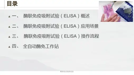酶联免疫吸附试验