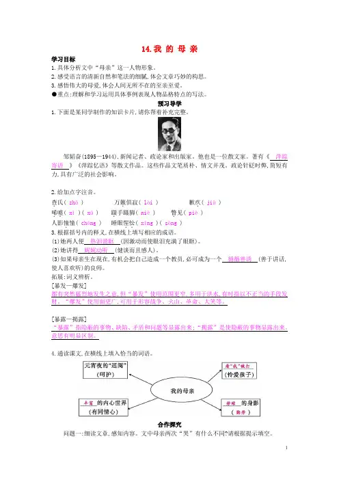 WORD版精品教案学案-八年级语文上册 第14课 我的母亲导学案 苏教版