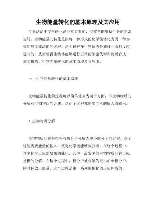 生物能量转化的基本原理及其应用