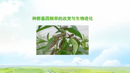 高中生物必修2精品课件12：7.2.1 种群基因频率的改变与生物进化