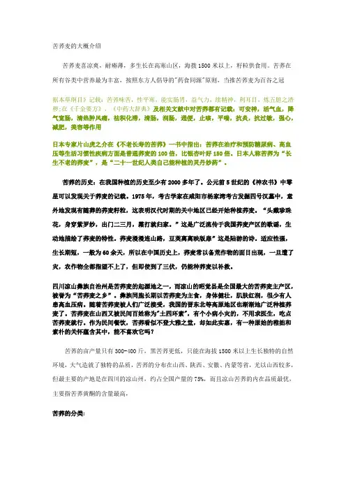 苦荞知识介绍