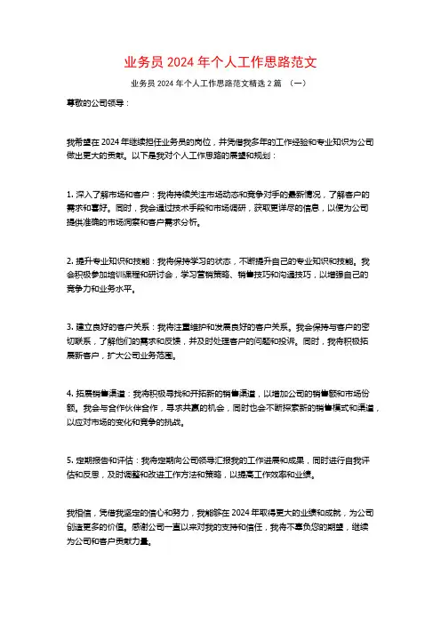 业务员2024年个人工作思路范文2篇