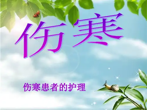 伤寒患者的护理—PPT课件