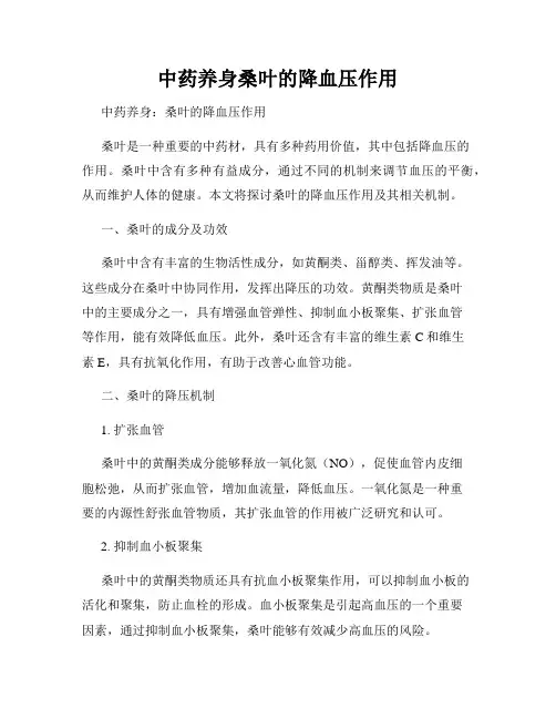 中药养身桑叶的降血压作用