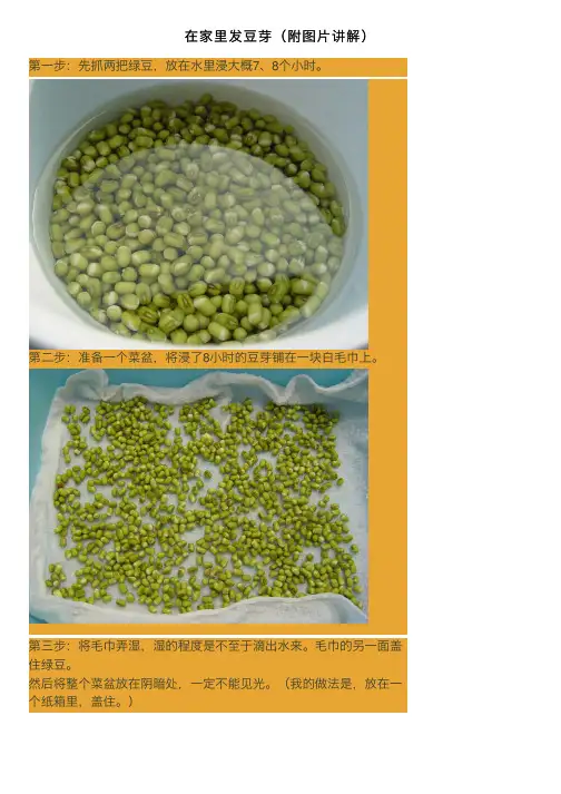 在家里发豆芽（附图片讲解）