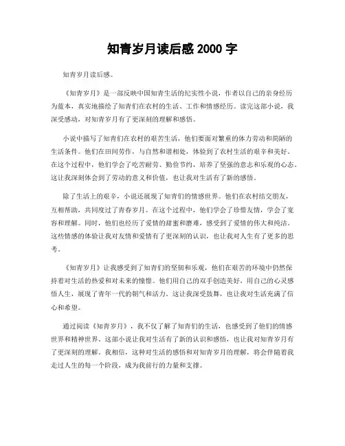 知青岁月读后感2000字