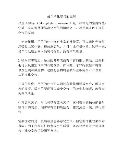 吊兰净化空气的原理