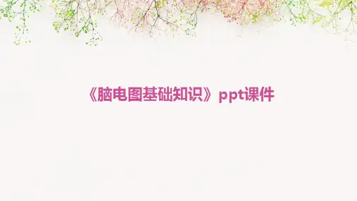 《脑电图基础知识》课件
