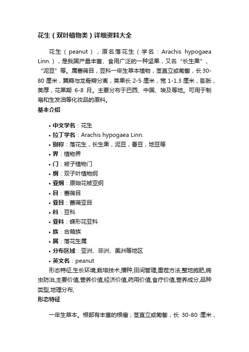花生（双叶植物类）详细资料大全