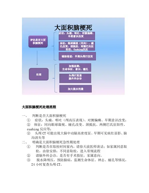 大面积脑梗死流程
