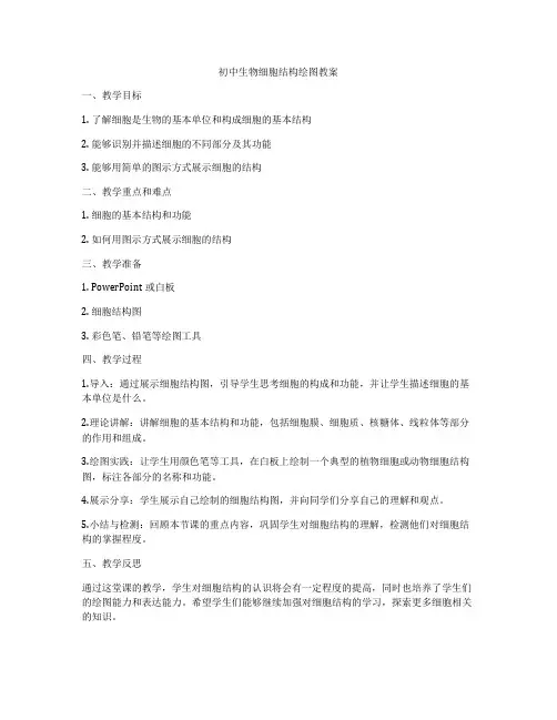 初中生物细胞结构绘图教案
