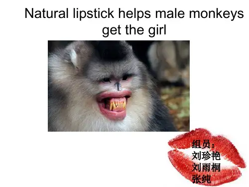 科技翻译 语篇翻译分析