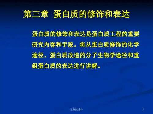 蛋白质的修饰和表达ppt课件