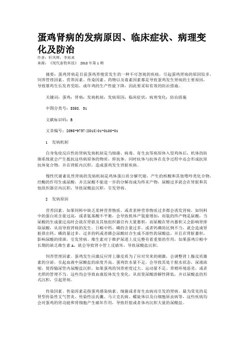 蛋鸡肾病的发病原因、临床症状、病理变化及防治