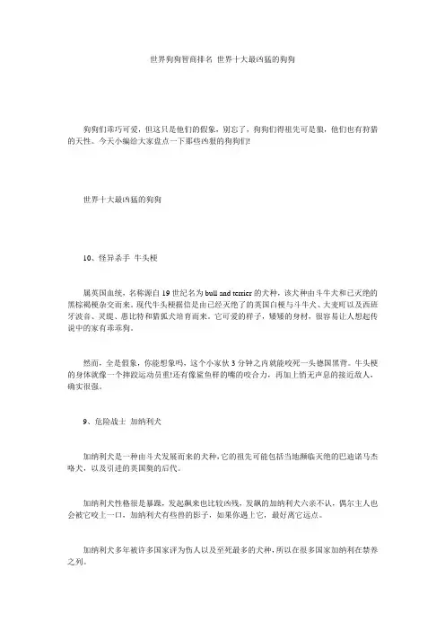 世界狗狗智商排名 世界十大最凶猛的狗狗